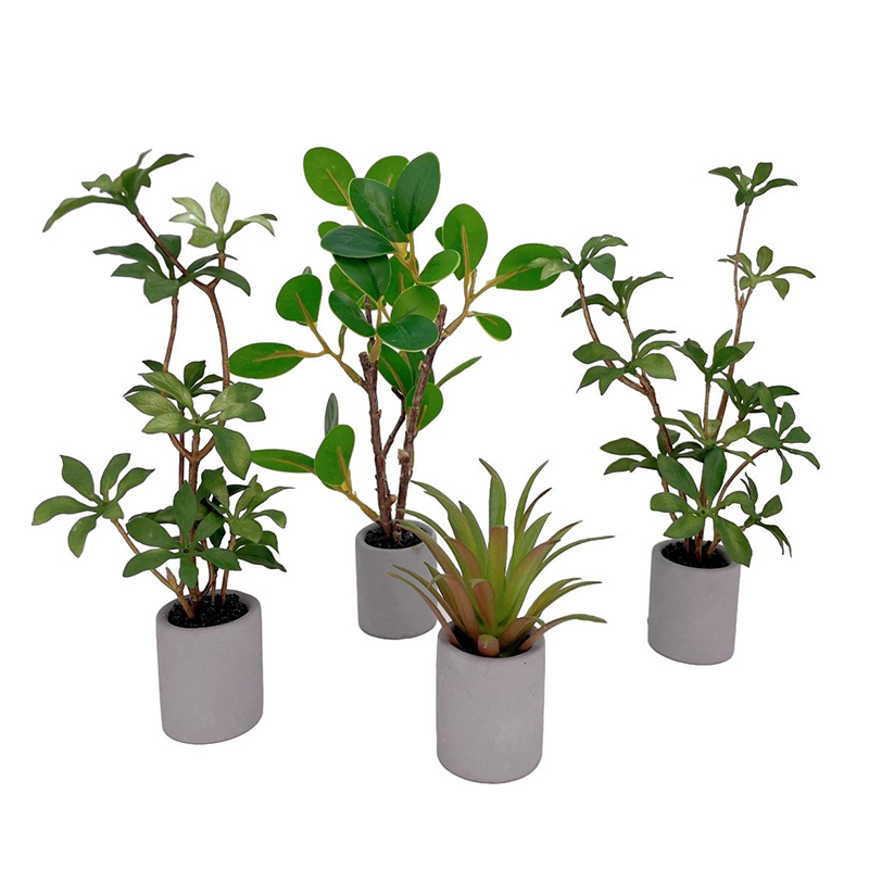 Bonsai Garden For Home - 1:6 Dollhouse Miniature Potted Plant Green