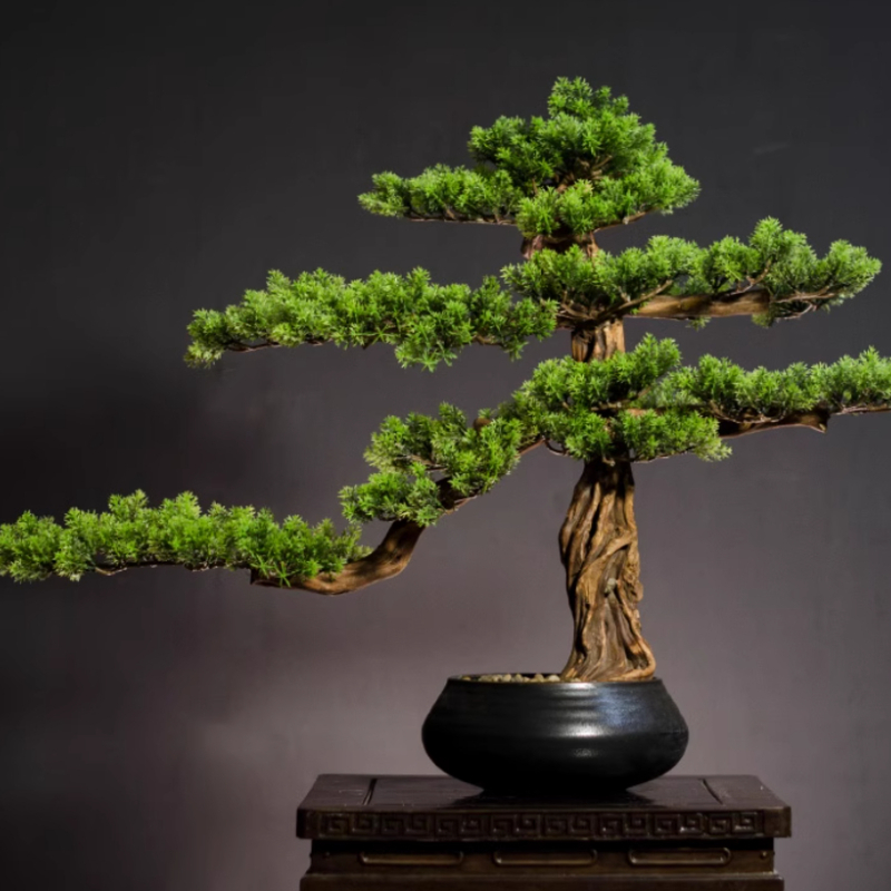 Bonsai Garden Entrance - Home Welcoming Pine Ornaments Simulated Ceramic