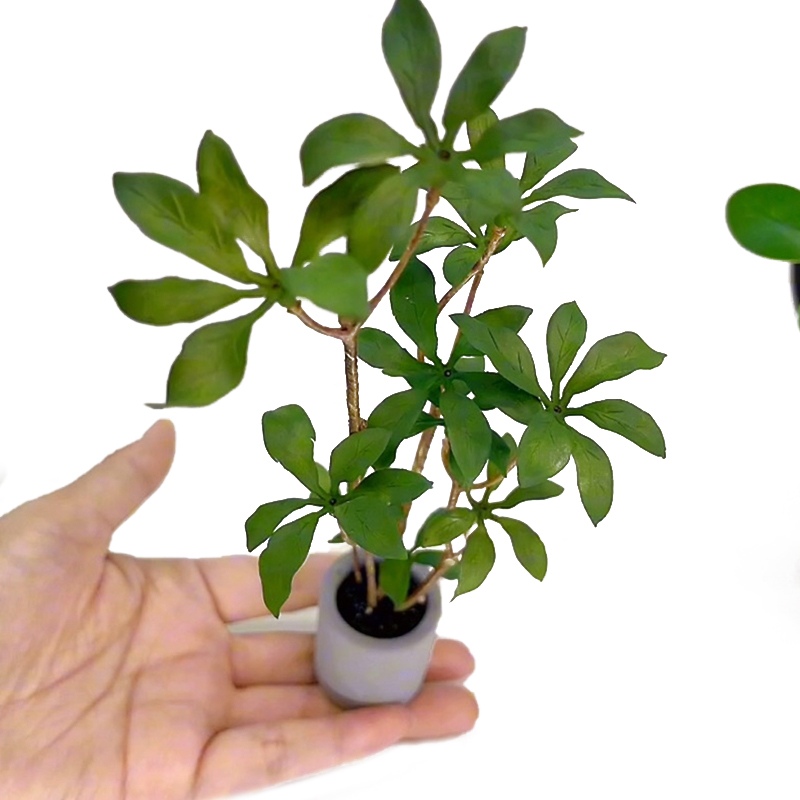 1:6 Dollhouse Miniature Potted - Bonsai Garden For Home review and price
