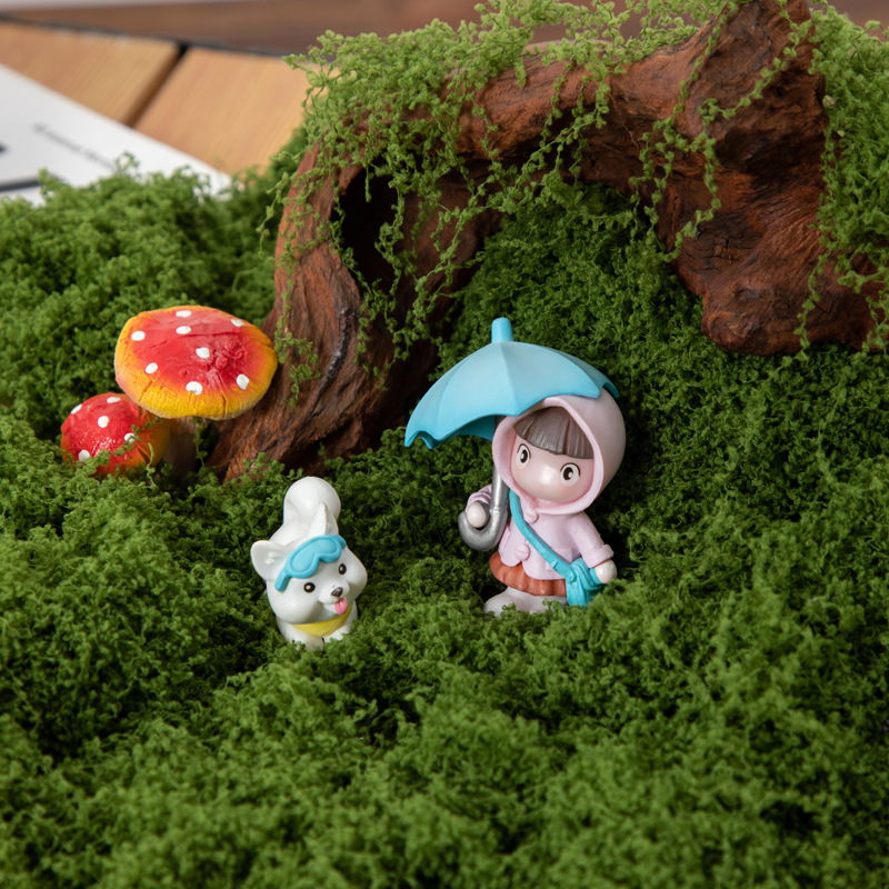 200g Eternal Life Moss DIY Cra - Bonsai Garden For Home review and price
