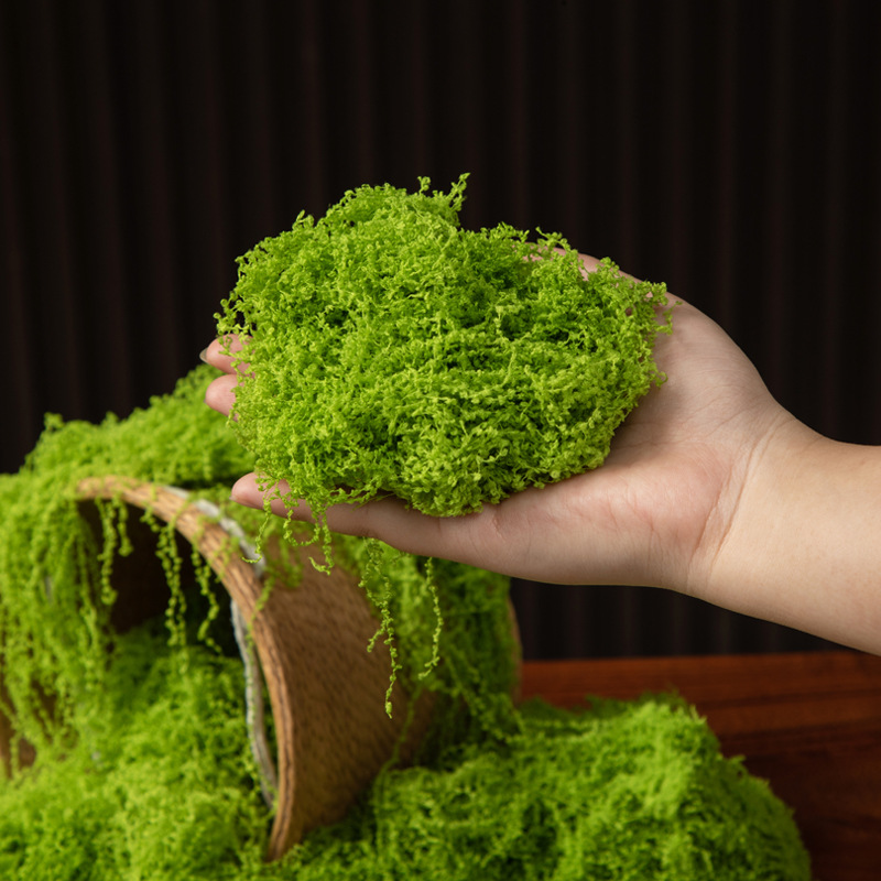 200g Eternal Life Moss DIY Cra - Bonsai Garden For Home review and price