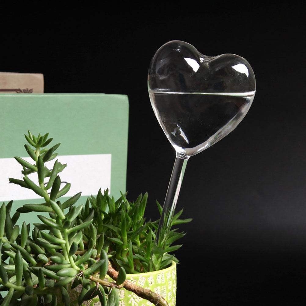 3Pcs Heart Shaped Glass Self W - Bonsai Garden For Home review and price