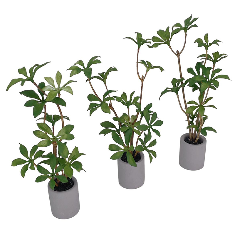 1:6 Dollhouse Miniature Potted - Bonsai Garden For Home review and price