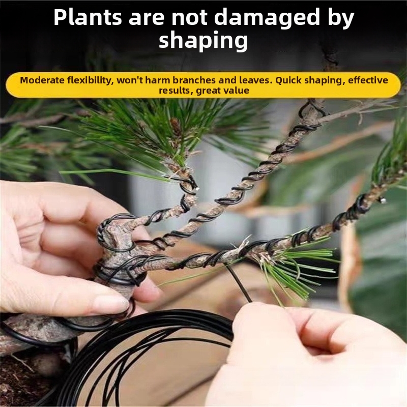 1.5MM Bonsai Wires Aluminum Bo - Bonsai Garden For Home review and price