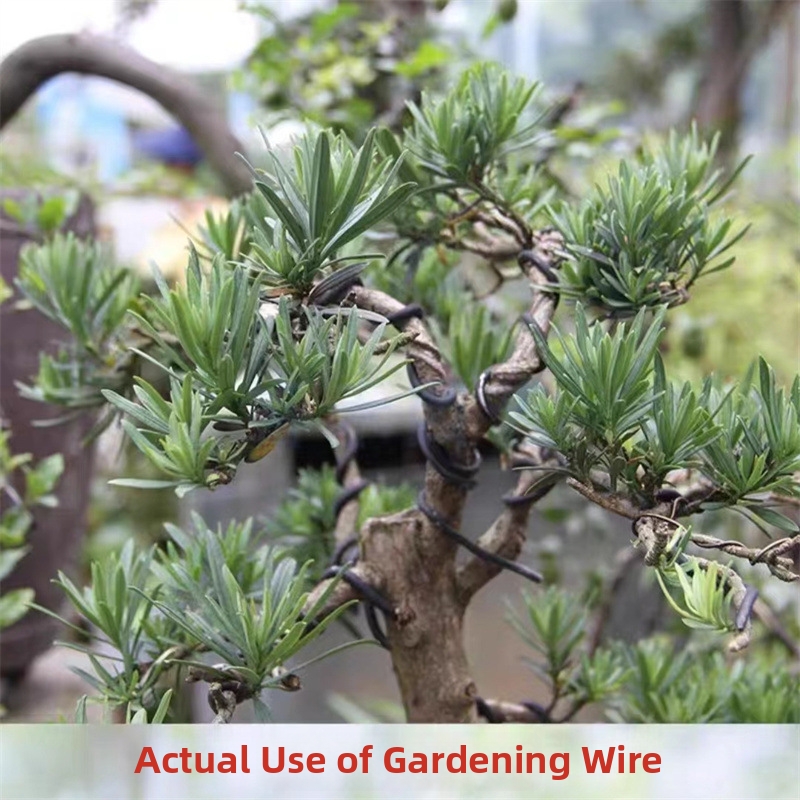 1.5MM Bonsai Wires Aluminum Bo - Bonsai Garden For Home review and price