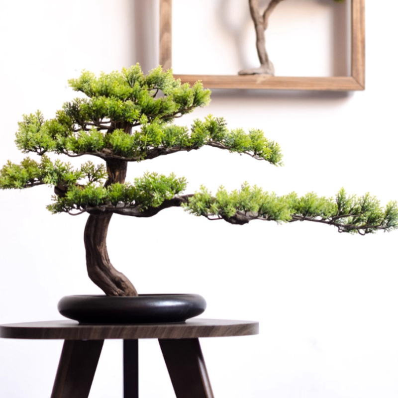 Home Welcoming Pine Ornaments  - Bonsai Garden Entrance review and price