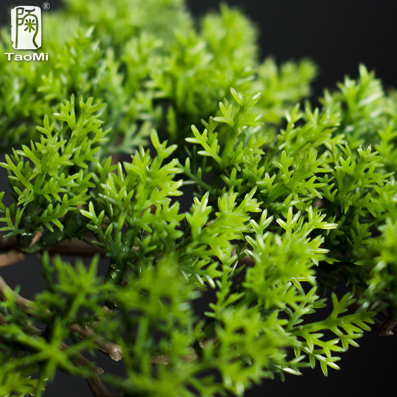 Home Welcoming Pine Ornaments  - Bonsai Garden Entrance review and price