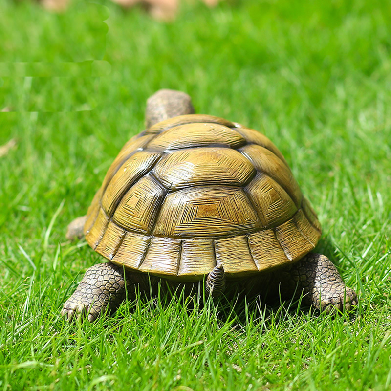 Cute Decorative Turtle Resin T - Bonsai Garden For Home review and price