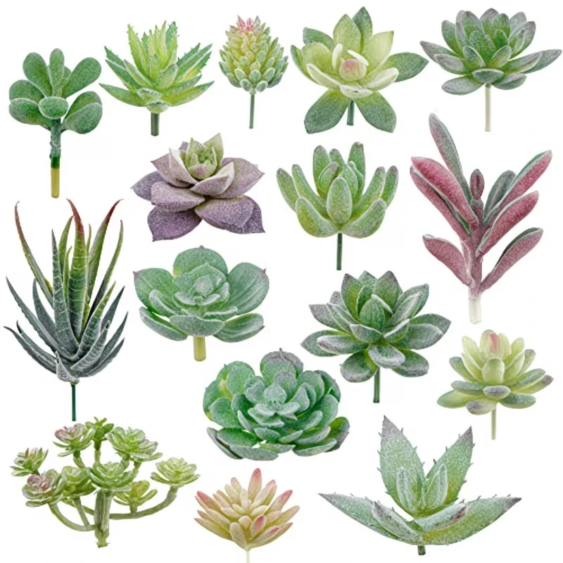 10/20Pcs PVC Succulents Plants - Bonsai Garden For Home review and price